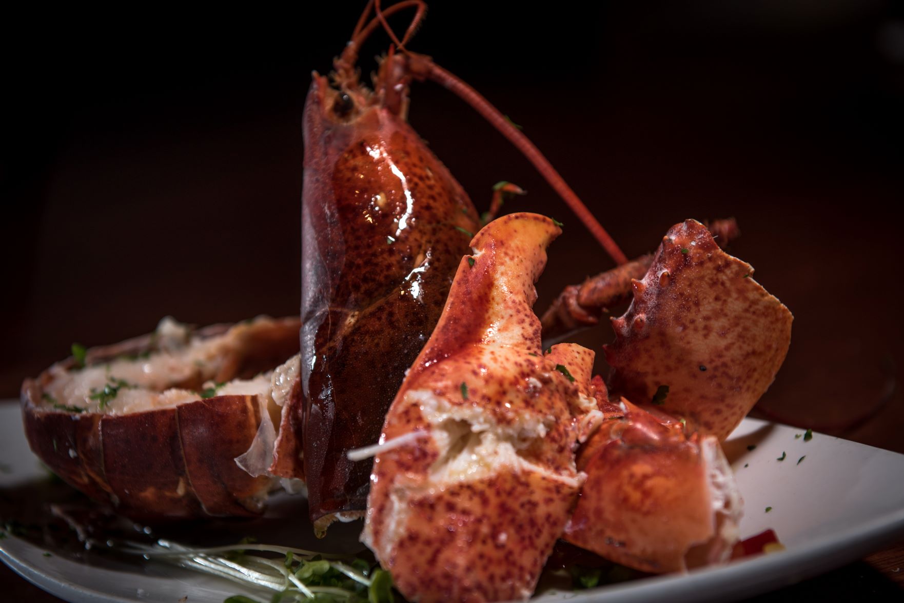 Lobster